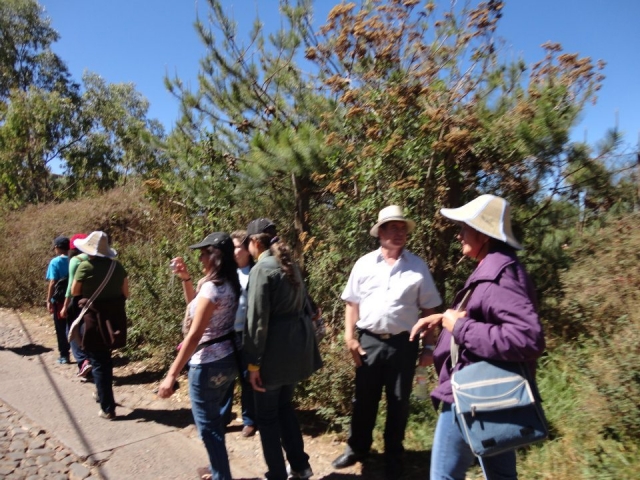  Guided walks 